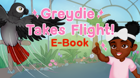 Greydie_Takes_Flight-