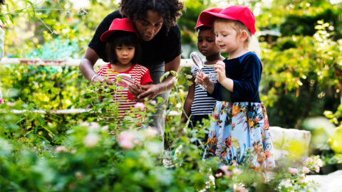 Playful Learning: The Secret Ingredient in Early Childhood Education